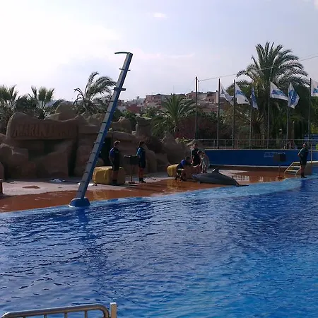 El Niu Malgrat de Mar