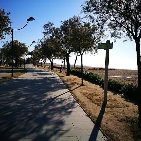El Niu Malgrat de Mar
