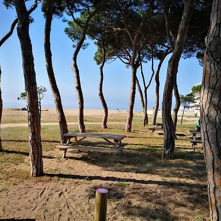 Daire El Niu Malgrat de Mar
